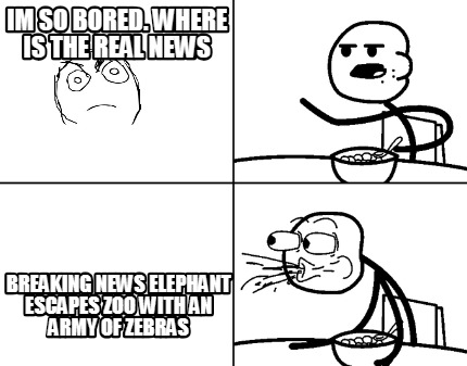 im-so-bored.-where-is-the-real-news-breaking-news-elephant-escapes-zoo-with-an-a