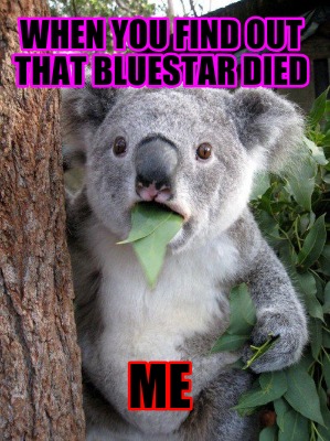 when-you-find-out-that-bluestar-died-me
