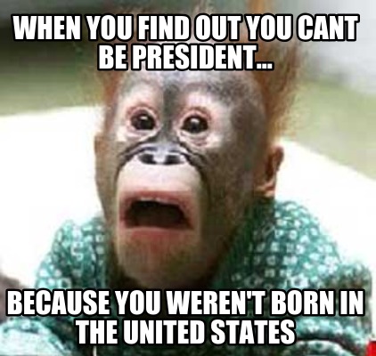 when-you-find-out-you-cant-be-president...-because-you-werent-born-in-the-united