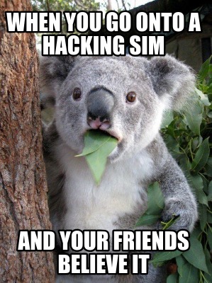 when-you-go-onto-a-hacking-sim-and-your-friends-believe-it