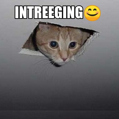 intreeging