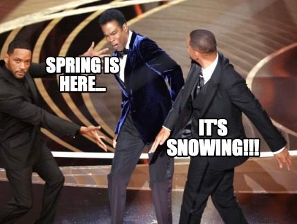 spring-is-here...-its-snowing
