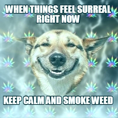 when-things-feel-surreal-right-now-keep-calm-and-smoke-weed