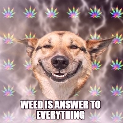 weed-is-answer-to-everything