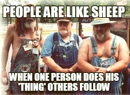 people-are-like-sheep-when-one-person-does-his-thing-others-follow