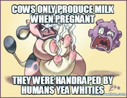 cows-only-produce-milk-when-pregnant-they-were-handraped-by-humans-yea-whities