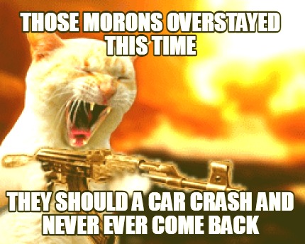 those-morons-overstayed-this-time-they-should-a-car-crash-and-never-ever-come-ba