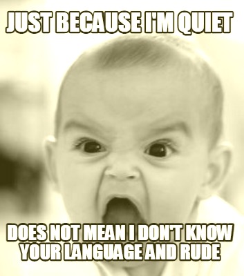 just-because-im-quiet-does-not-mean-i-dont-know-your-language-and-rude