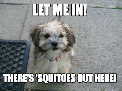 let-me-in-theres-squitoes-out-here