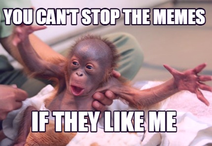 you-cant-stop-the-memes-if-they-like-me
