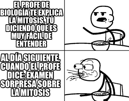 el-profe-de-biologa-te-explica-la-mitosis-t-diciendo-que-es-muy-fcil-de-entender