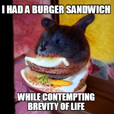 i-had-a-burger-sandwich-while-contempting-brevity-of-life