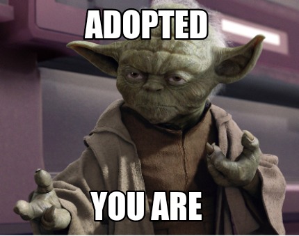 adopted-you-are