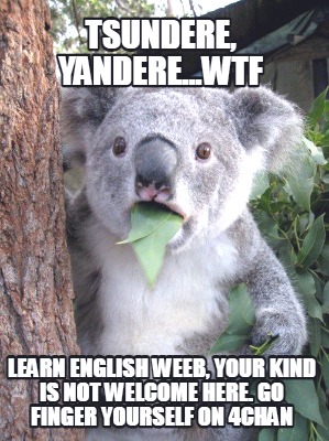 tsundere-yandere...wtf-learn-english-weeb-your-kind-is-not-welcome-here.-go-fing