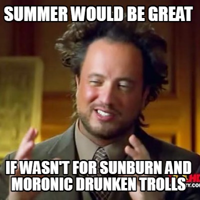 summer-would-be-great-if-wasnt-for-sunburn-and-moronic-drunken-trolls