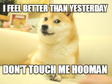 i-feel-better-than-yesterday-dont-touch-me-hooman