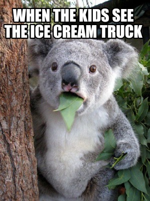 when-the-kids-see-the-ice-cream-truck