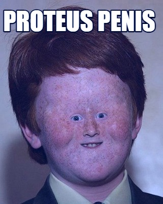 proteus-penis