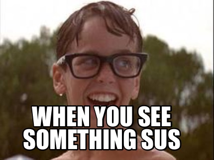 when-you-see-something-sus