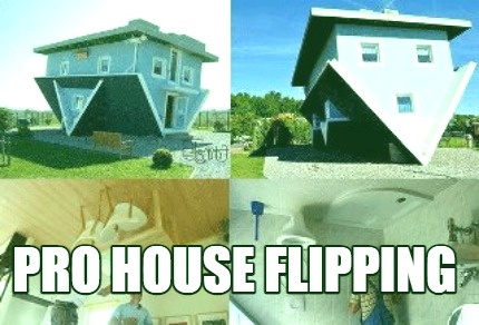 pro-house-flipping