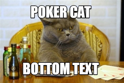 poker-cat-bottom-text