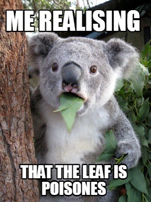 me-realising-that-the-leaf-is-poisones