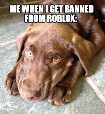 me-when-i-get-banned-from-roblox