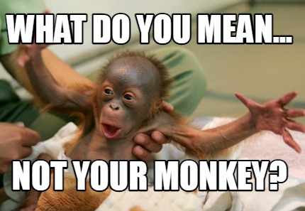 what-do-you-mean...-not-your-monkey