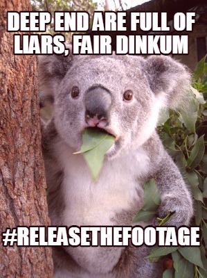deep-end-are-full-of-liars-fair-dinkum-releasethefootage