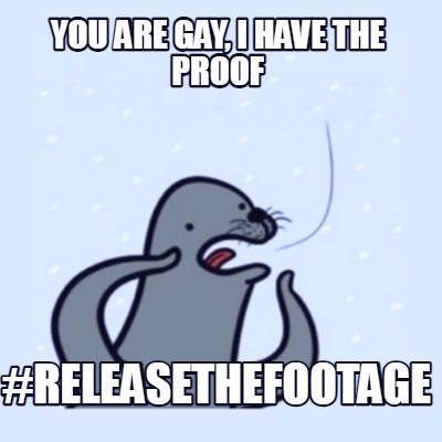 you-are-gay-i-have-the-proof-releasethefootage