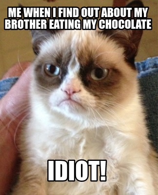 me-when-i-find-out-about-my-brother-eating-my-chocolate-idiot