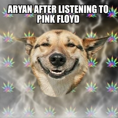 aryan-after-listening-to-pink-floyd