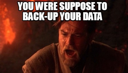 you-were-suppose-to-back-up-your-data