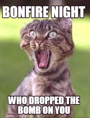 bonfire-night-who-dropped-the-bomb-on-you