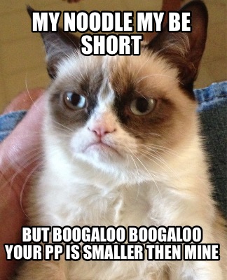 my-noodle-my-be-short-but-boogaloo-boogaloo-your-pp-is-smaller-then-mine