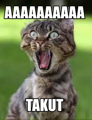 aaaaaaaaaa-takut