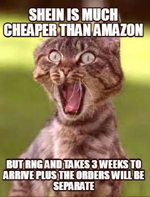 shein-is-much-cheaper-than-amazon-but-rng-and-takes-3-weeks-to-arrive-plus-the-o