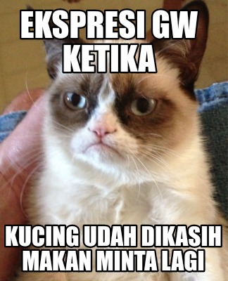 ekspresi-gw-ketika-kucing-udah-dikasih-makan-minta-lagi