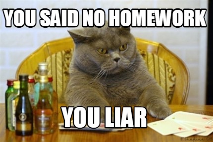 you-said-no-homework-you-liar