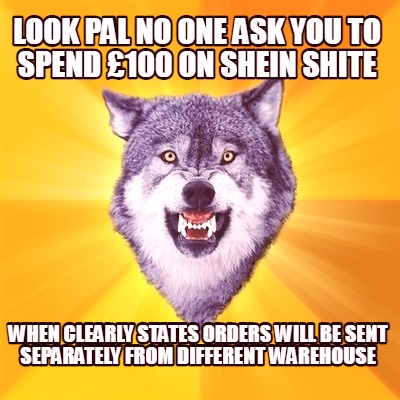 look-pal-no-one-ask-you-to-spend-100-on-shein-shite-when-clearly-states-orders-w