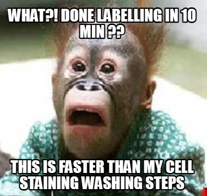 what-done-labelling-in-10-min-this-is-faster-than-my-cell-staining-washing-steps