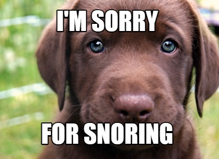im-sorry-for-snoring