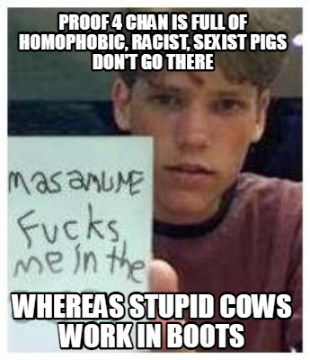 proof-4-chan-is-full-of-homophobic-racist-sexist-pigs-dont-go-there-whereas-stup