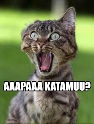 aaapaaa-katamuu