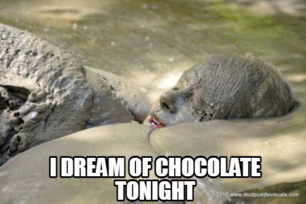 i-dream-of-chocolate-tonight