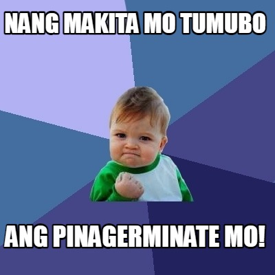 nang-makita-mo-tumubo-ang-pinagerminate-mo