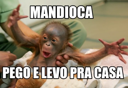 mandioca-pego-e-levo-pra-casa