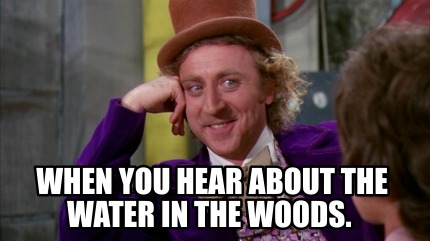 when-you-hear-about-the-water-in-the-woods