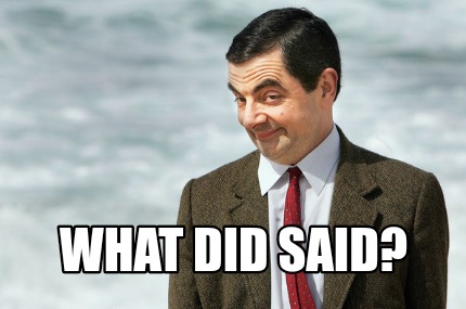 what-did-said