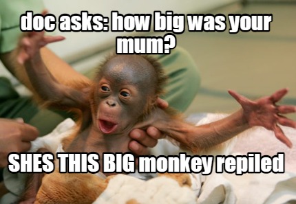 doc-asks-how-big-was-your-mum-shes-this-big-monkey-repiled